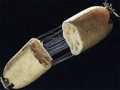 ܡźzBl(f) ƌWƳͷgp