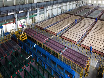 ԥ늽~(sh)(yn)(xing)ĿͶa(chn)