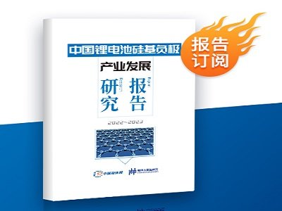 (bo)rtЇ늳عؓ(f)Oa(chn)I(y)l(f)չо(bo)棨2022~2023ذƳ