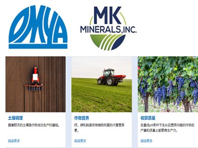 531գȫ̼}^OmyacMK Minerals_ُf(xi)hӏ{턩I(y)գM܊rI(y)Ј