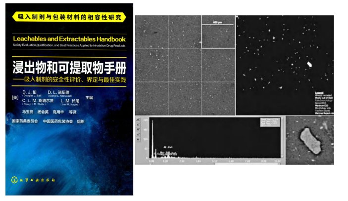 全自動顆粒檢測系統(tǒng)進行 全自動顆粒識別、粒徑測量和元素分析