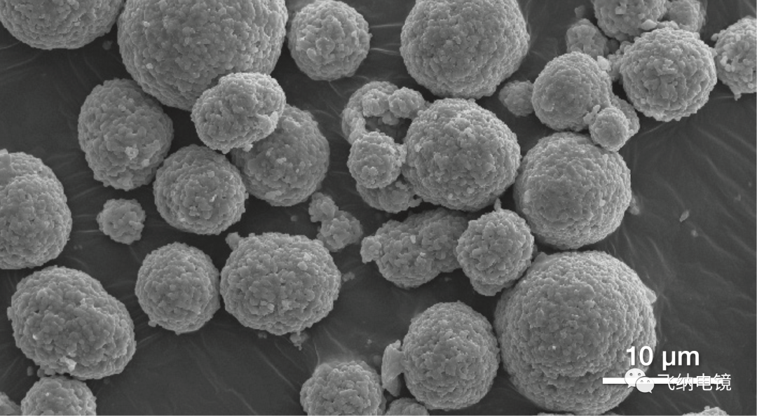  由 Phenom ParticleMetric 軟件測量的多晶 NCM 顆粒，顯示分布著大量的二次顆粒