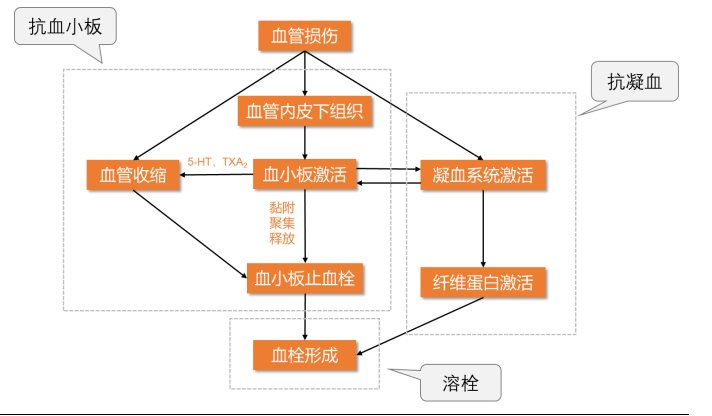 血栓形成機(jī)制及抗血栓用藥分類(lèi)