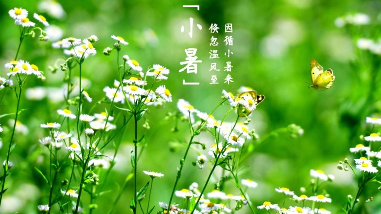 倏忽溫風(fēng)至，因循小暑來(lái)-二十四節(jié)氣 小暑.jpg