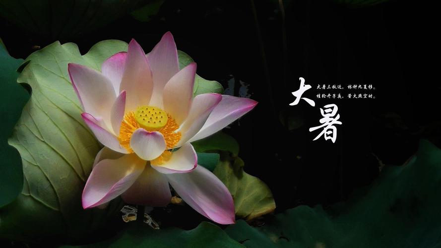 大暑節(jié)氣，是夏季的最后一個節(jié)氣.jpeg